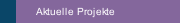Aktuelle Projekte